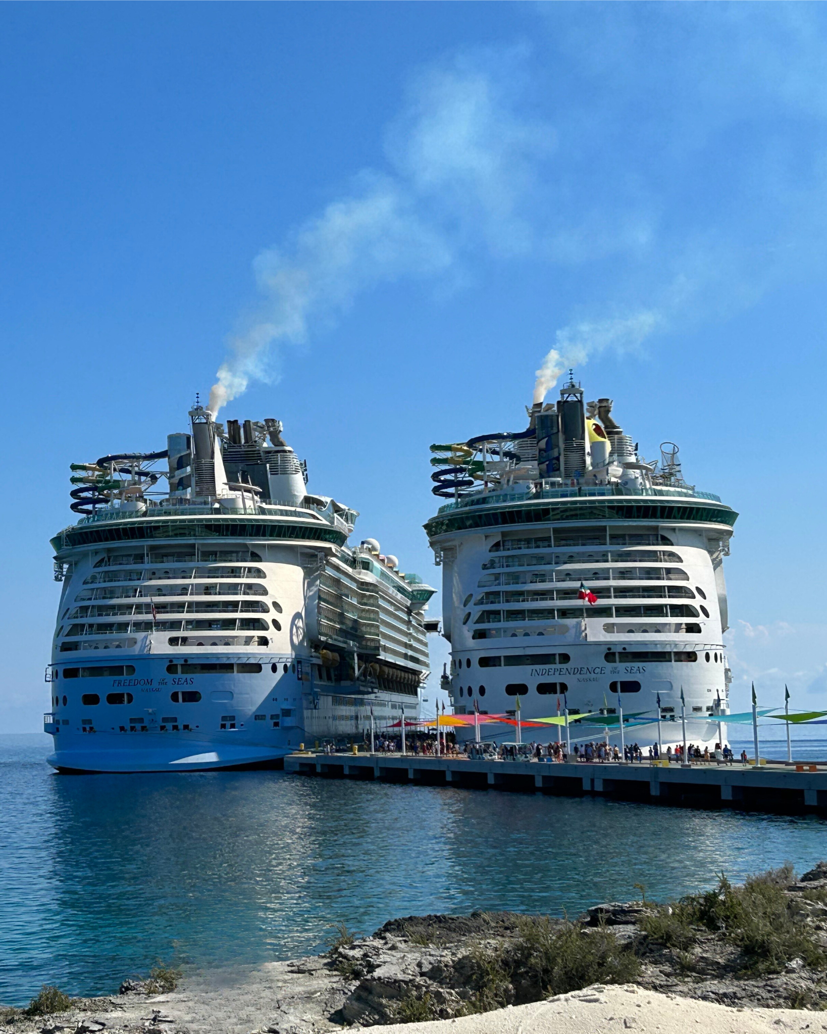 Family Cruise