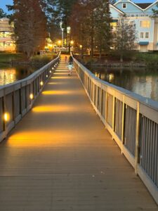 walking path at Disney's Saratoga Springs. 