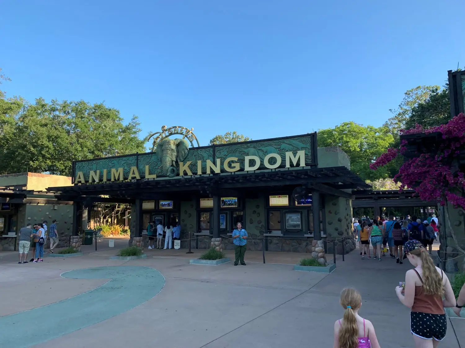 One Wild Day: The Perfect One-Day Itinerary for Disney’s Animal Kingdom