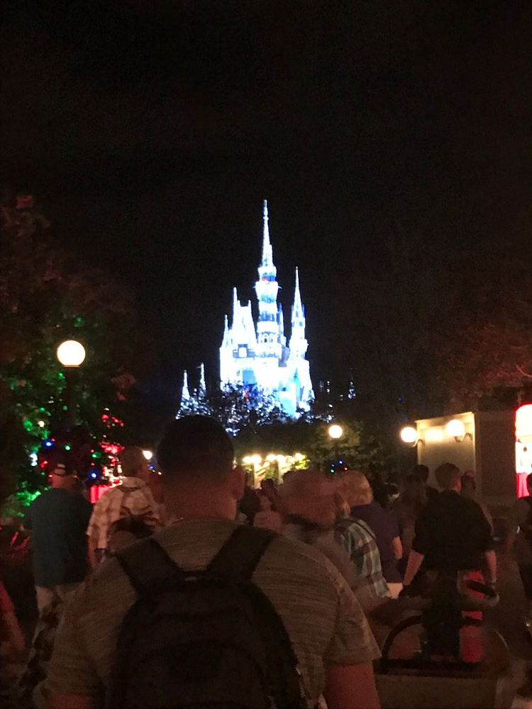 Disney Castle at Very Merry Christmas Party.