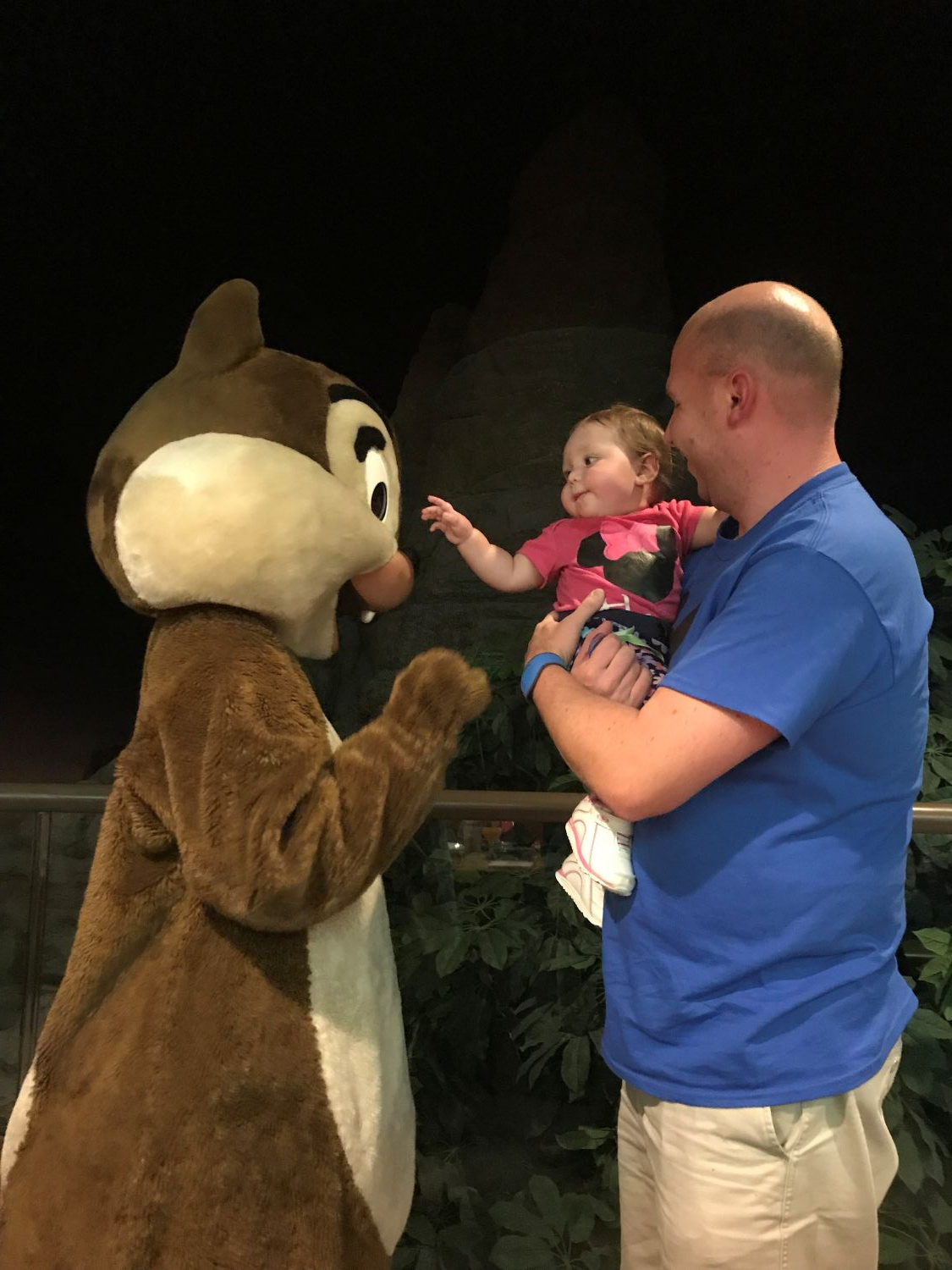 Chip ‘n’ Dale’s Harvest Feast: Garden Grill Epcot Dining Guide