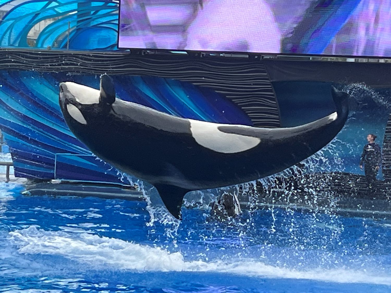 SeaWorld Orlando: Ultimate Family Adventure Guide