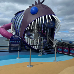 Aybss Slide on Royal Caribbean Ship.
